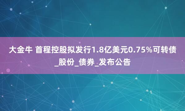 大金牛 首程控股拟发行1.8亿美元0.75%可转债_股份_债券_发布公告