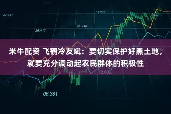 米牛配资 飞鹤冷友斌：要切实保护好黑土地，就要充分调动起农民群体的积极性