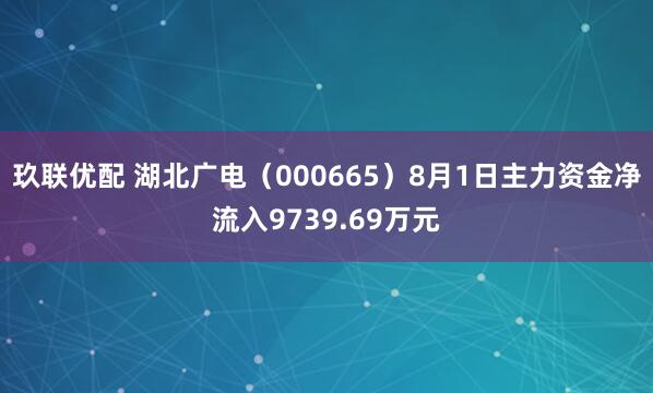 玖联优配 湖北广电（000665）8月1日主力资金净流入9739.69万元
