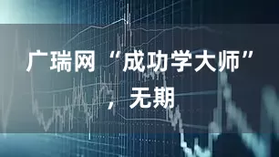 广瑞网 “成功学大师”，无期