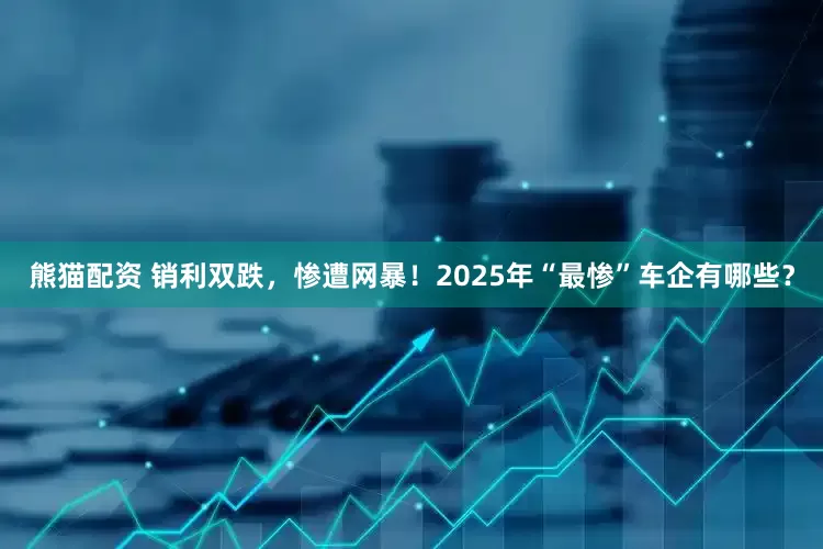 熊猫配资 销利双跌，惨遭网暴！2025年“最惨”车企有哪些？