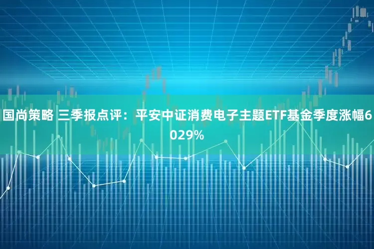 国尚策略 三季报点评：平安中证消费电子主题ETF基金季度涨幅6029%