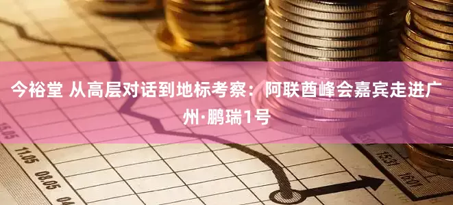 今裕堂 从高层对话到地标考察：阿联酋峰会嘉宾走进广州·鹏瑞1号